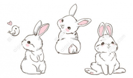 兔子动漫,萌动时光，治愈系动画的奇幻之旅